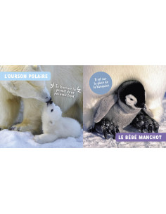 Mon premier doc photo - les bebes animaux - auzou 2