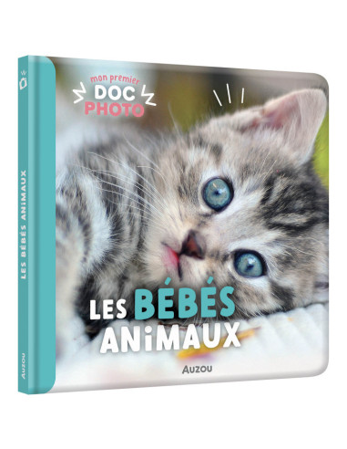 Mon premier doc photo - les bebes animaux - auzou