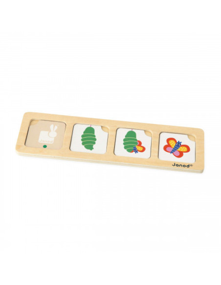 Cartes sequences - le jardin - janod