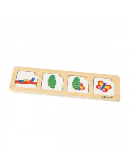 Cartes sequences - le jardin - janod