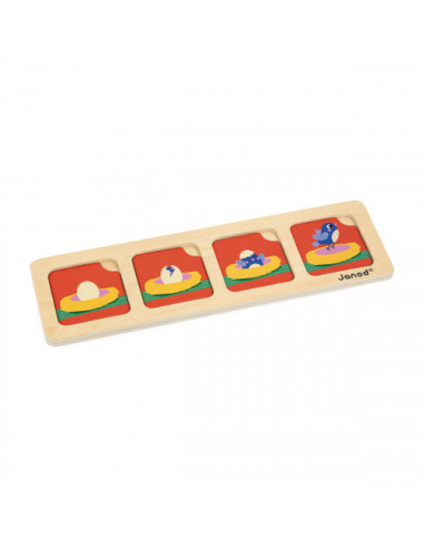 Cartes sequences - le jardin - janod