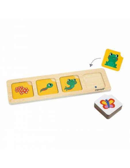 Cartes sequences - le jardin - janod
