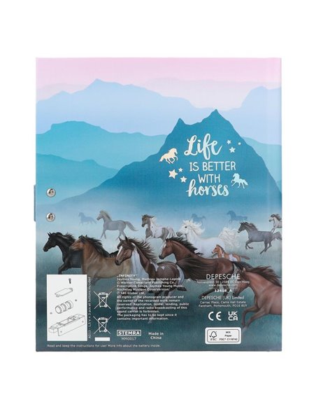 Miss Melody Journal intime sonore avec code motif 1