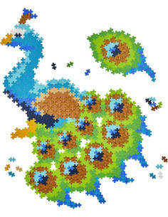 Puzzle ++ paon 800 pcs
