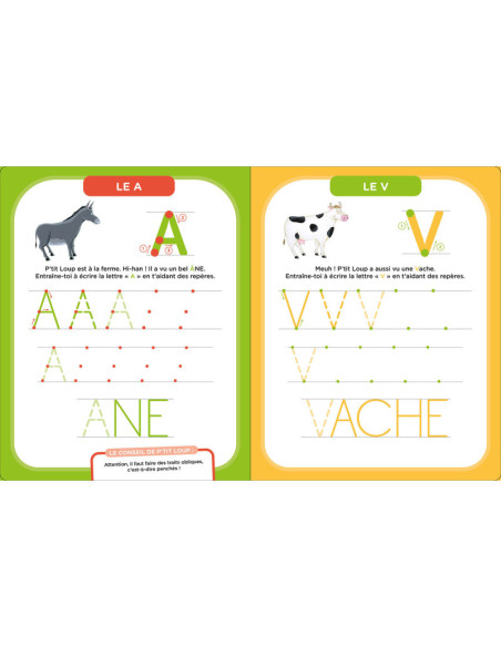 Mes activités effaçables p'tit loup - lettres bâtons