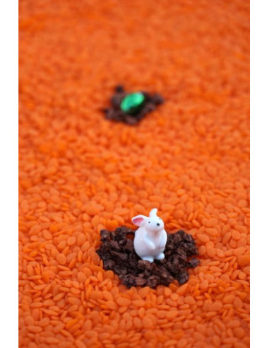 Bouteille sensorielle lapin - petit boum