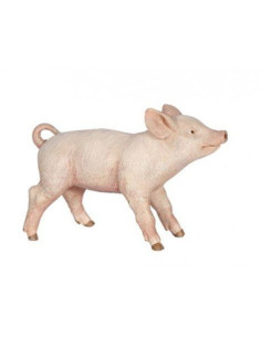 Porcelet Femelle