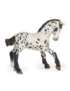 Poulain Appaloosa Noir