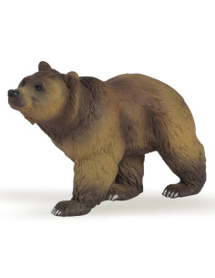 Ours des Pyrénées