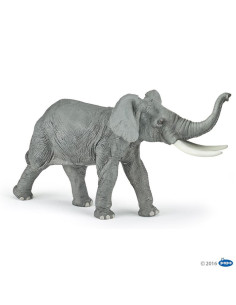 Éléphant