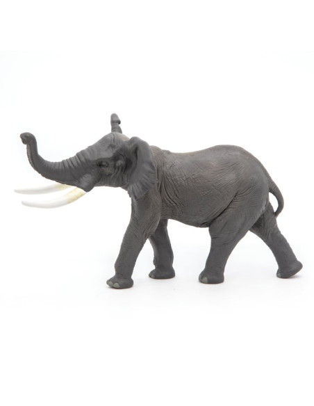 Éléphant