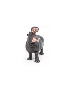 Hippopotame 2