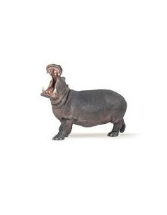 Hippopotame
