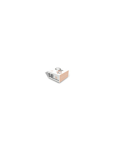 PORTE-CLES TORTUE