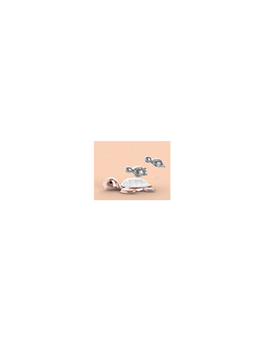 PORTE-CLES TORTUE