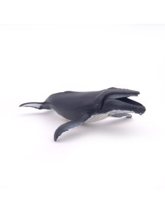 Baleine à Bosse PAPO - Géant des Océans