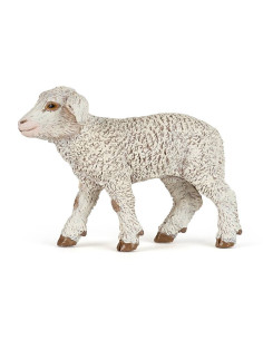 Agneau Mérinos