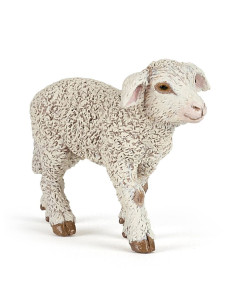 Agneau Mérinos 2