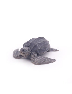 Tortue luth