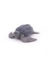 Tortue luth