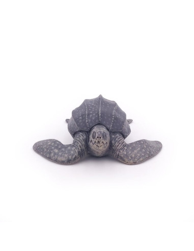 Tortue luth