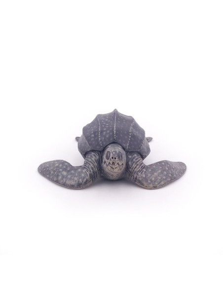 Tortue luth