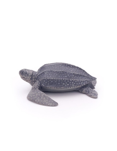 Tortue luth