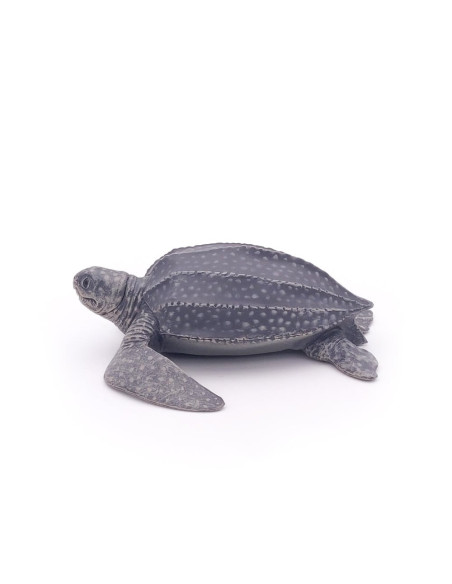 Tortue luth