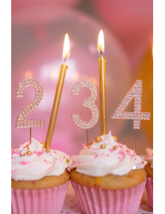 Decoration gateau anniversaire 3 rose 2