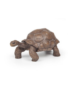 Tortue des Galápagos PAPO - Reptile Emblématique