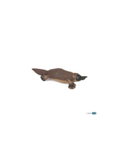 Ornithorynque