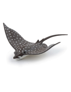 Raie leopard