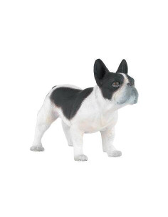 Bouledogue français noir et blanc