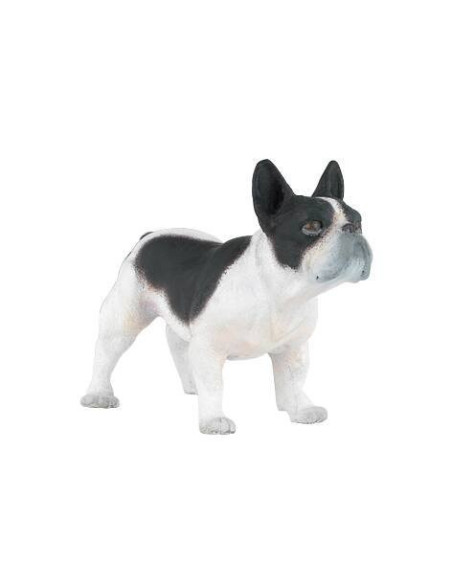 Bouledogue français noir et blanc