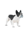 Bouledogue français noir et blanc