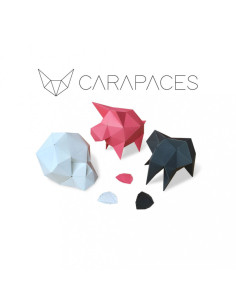 CARAPACES BY DOUG ANTHRACITE  2