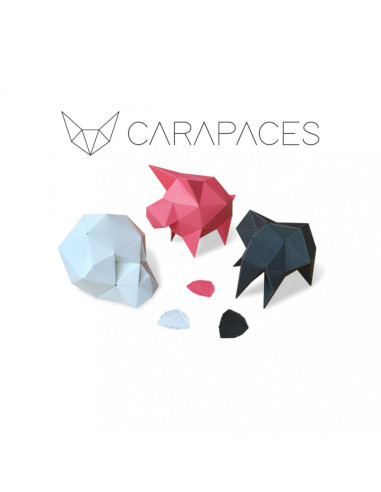 CARAPACES BY DOUG ANTHRACITE 