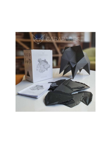 CARAPACES BY DOUG ANTHRACITE 