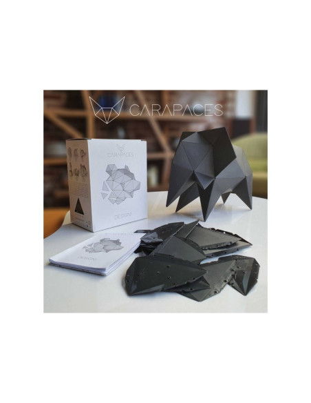 CARAPACES BY DOUG ANTHRACITE 