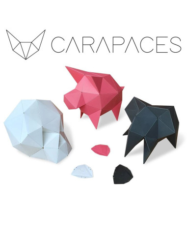 CARAPACES BY DOUG 