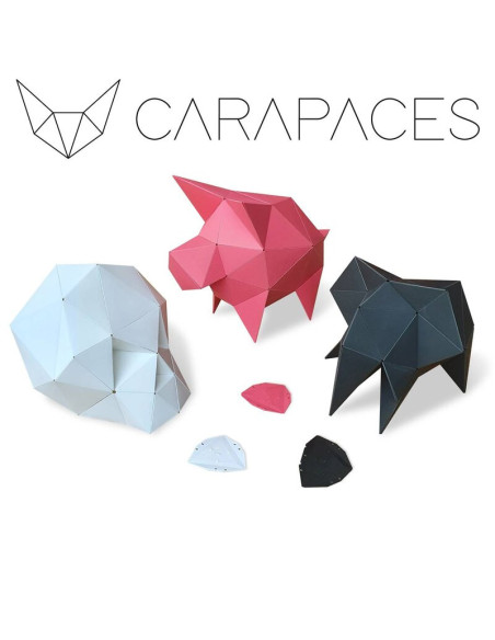 CARAPACES BY DOUG 