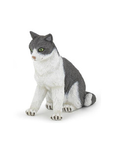 Chatte assise