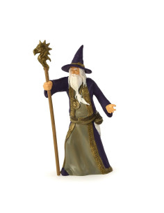 Le sorcier
