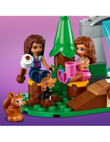 CASCADE DE LA FORET-FRIENDS