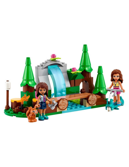 CASCADE DE LA FORET-FRIENDS