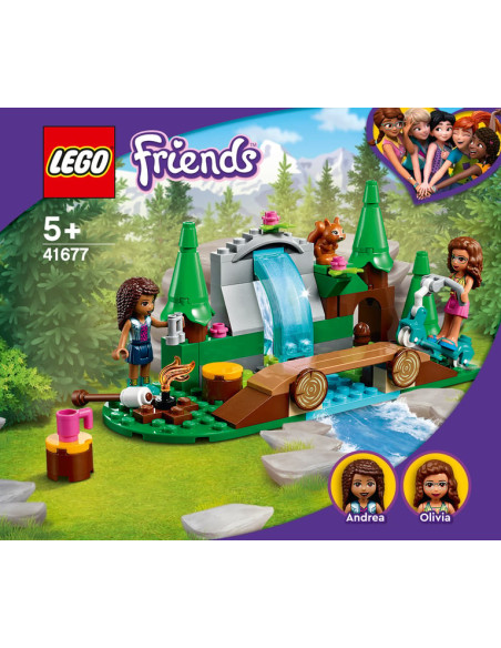 CASCADE DE LA FORET-FRIENDS
