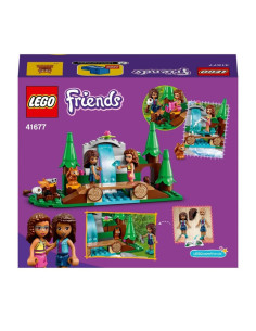 CASCADE DE LA FORET-FRIENDS 2