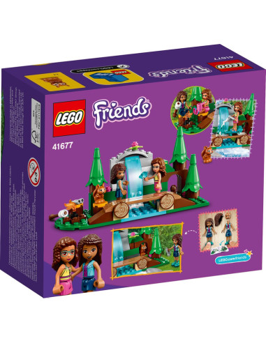 CASCADE DE LA FORET-FRIENDS