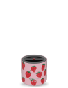 Lunchbox fraises 700ml
