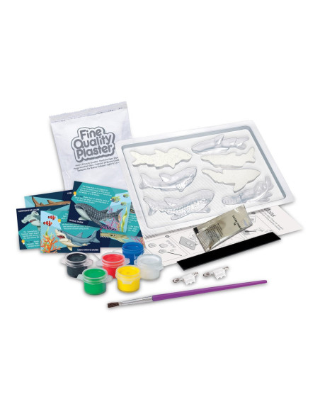 4m crea kit de moulage: réquins